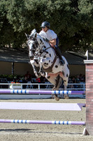 Alex - Flintridge Sat.